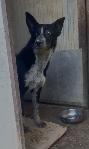 Valzer vi attende per ballare tutta la vita con lui Foto 2